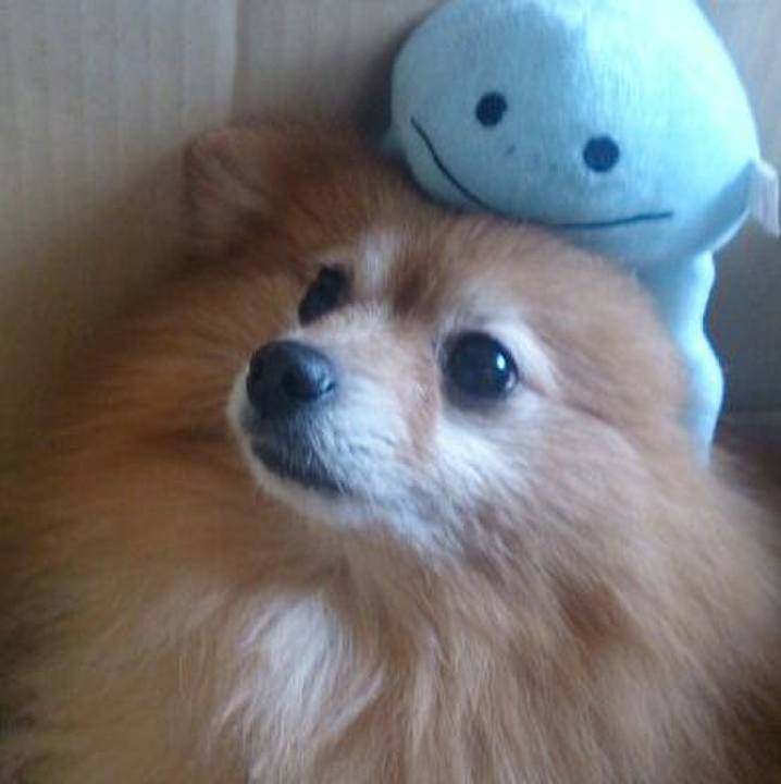 44dbab63 add7 49e7 a30d 5465f0d1bf86