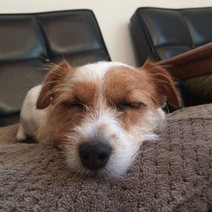 44dca776 b616 4dd6 bd46 f1b1e46c6d6f