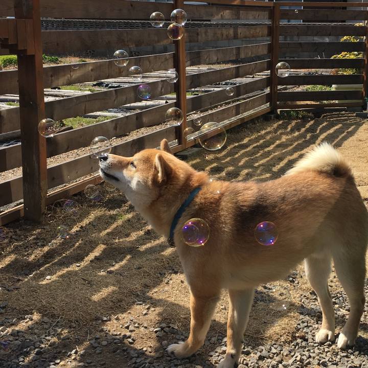 44dd0a7d 2a6f 42e2 b579 f3c449562e92