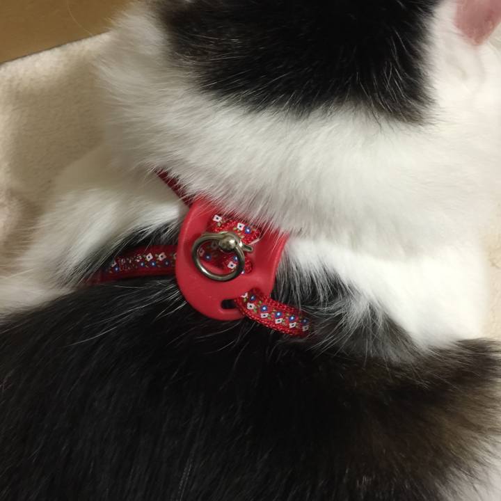 44dd2e03 1472 4b9b b292 f7044bf91451