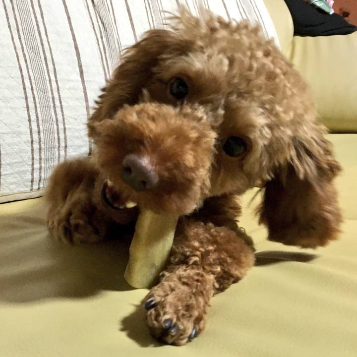 44dd39ab 72d9 49e6 8197 8268bef23943