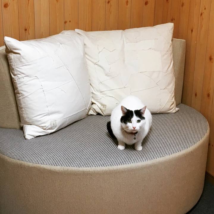 44dd9b59 6ffe 4b04 b8df 1e9d6e17c52e