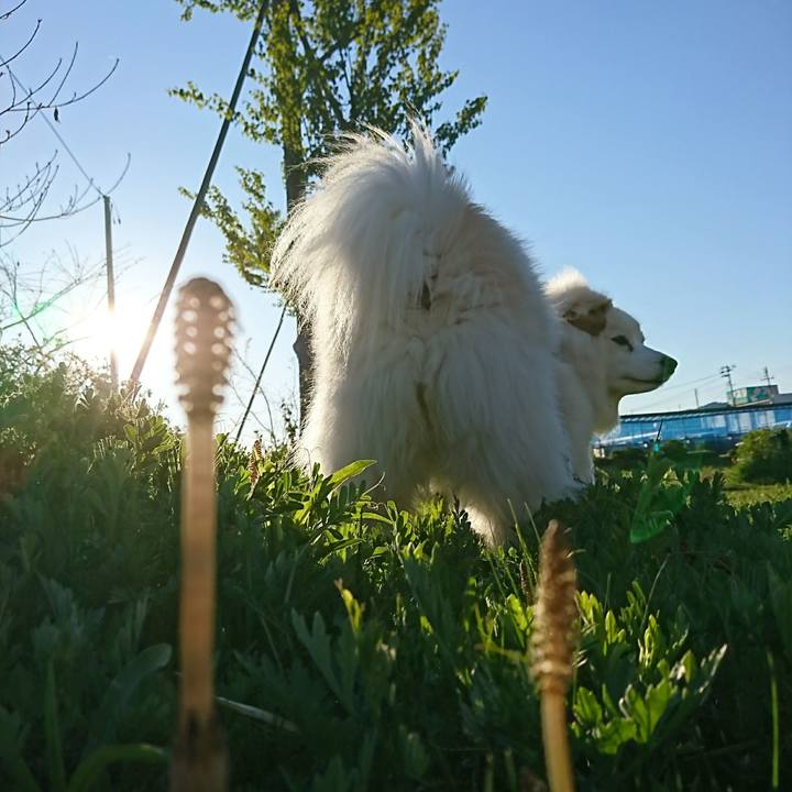 44e04b58 4531 40dc 8db6 34d66bf704f6