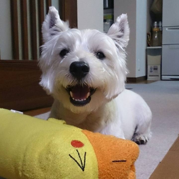 44e06040 dfbe 4b8a adae 1575fb20708a