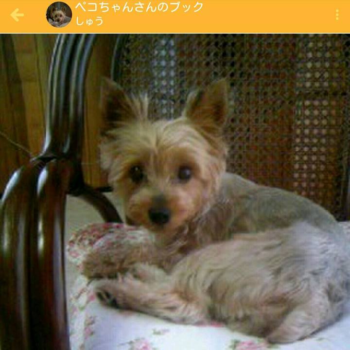 44e0c63d 11c9 42b2 802b f869e5aed380