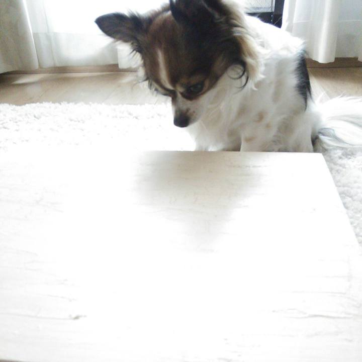 44e142ee fb56 411c a42d 009bad73934a