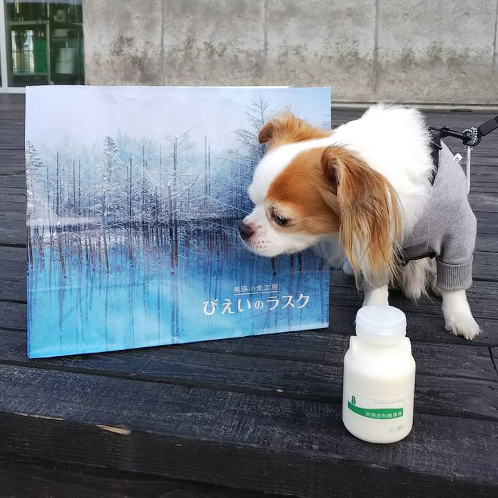 44e2c5c0 56e2 4e3a 9c0a 46ac9904d506