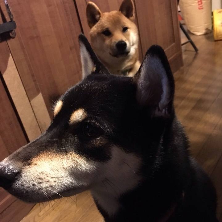 44e301d0 2161 4eb3 b9eb e9cf1e206901