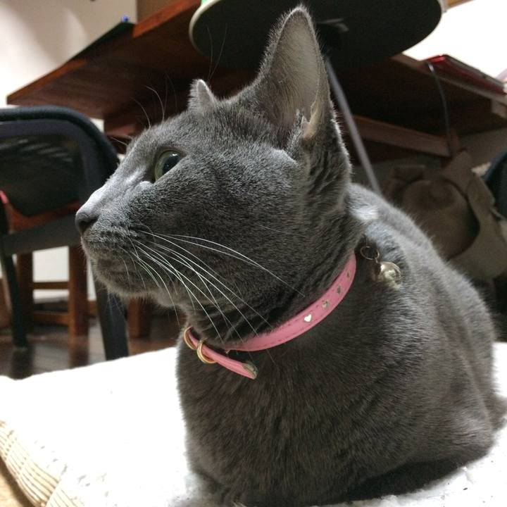 44e4c8f7 7b68 42c1 89f5 6179ee5d39f9