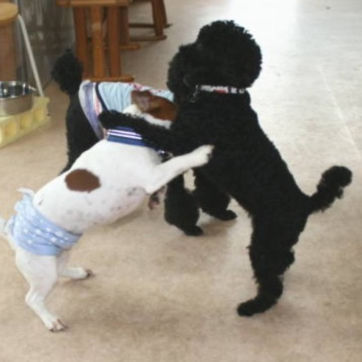 44e53d19 0393 4566 8965 41546d952766