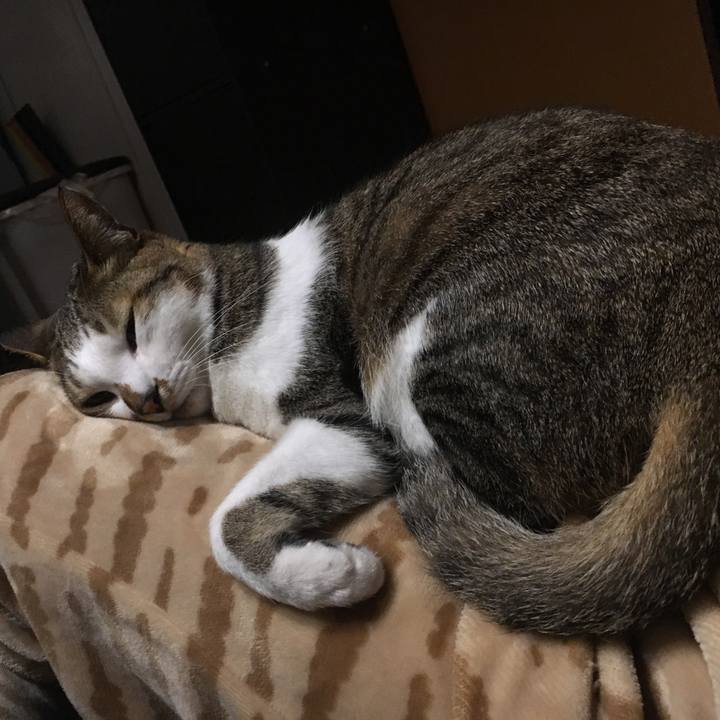 44e59e53 db69 41b0 9192 251bfcb83828