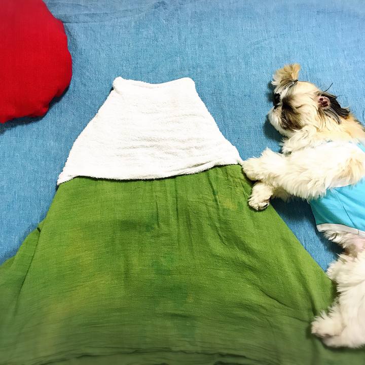 44e5a707 a227 4f15 bd02 234d3196eb47