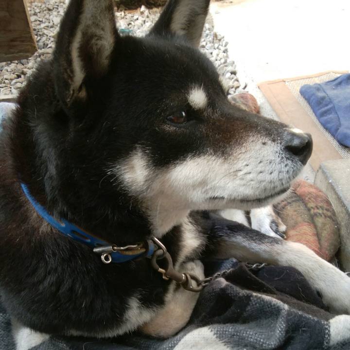 44e5a959 56be 463b a723 f209003c7c4e