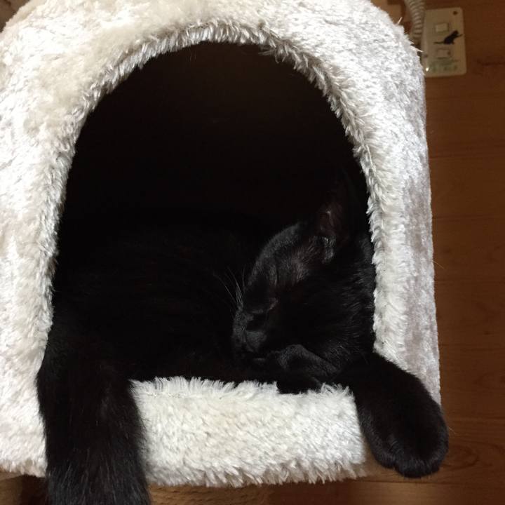 44e5c7d7 56f3 4faf b96e 9b8d7f75a88d