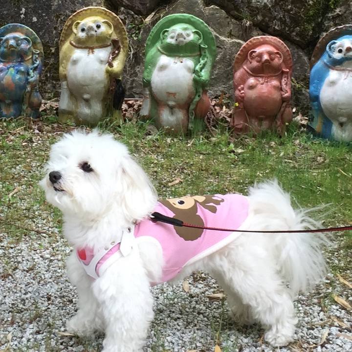 44e5cb0a 5f4e 4aef aaab 9afac5a5472a