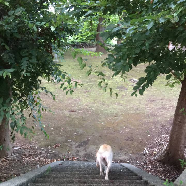 44e5cba3 a954 4009 bfef 20d17f6d21e6