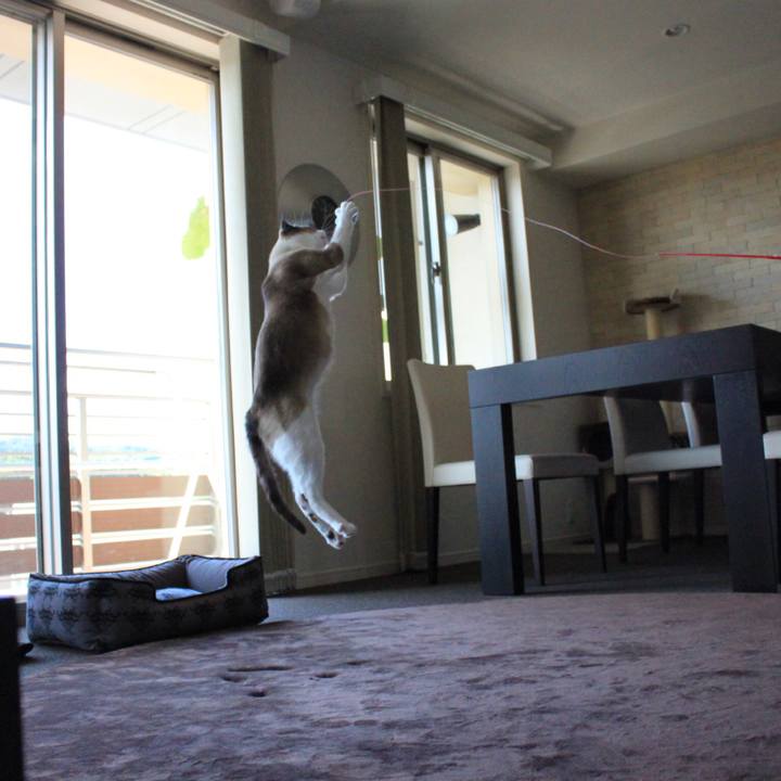 44e65120 190f 4438 975d 4447de88dcbc