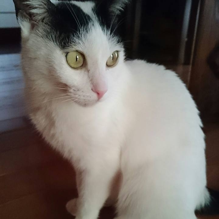 44e6882e 27be 4e8b b3e3 3e473ebc1cca