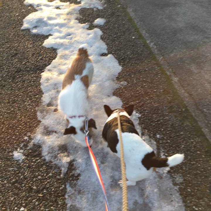 44e6b308 f62e 4334 9912 4574ff575399