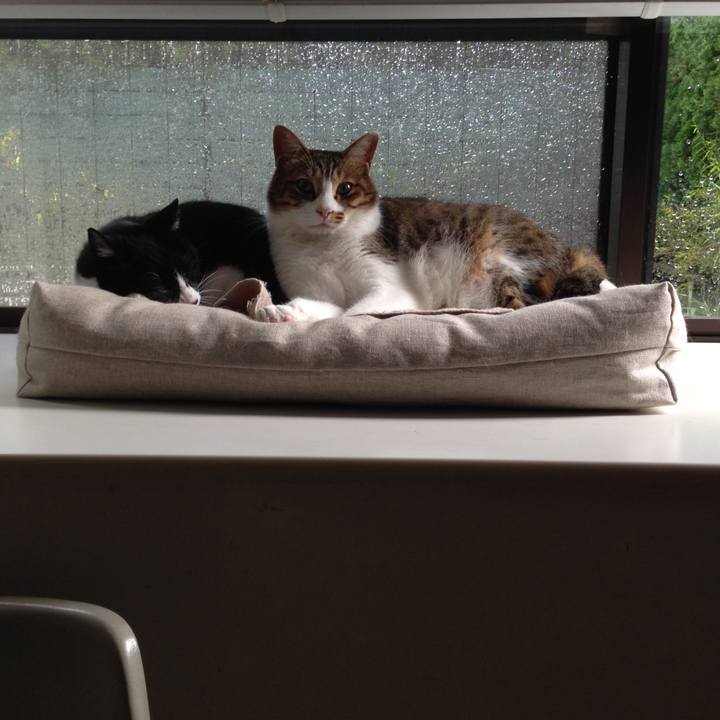 44e6ce30 c079 40a7 9431 fd51e66ac387