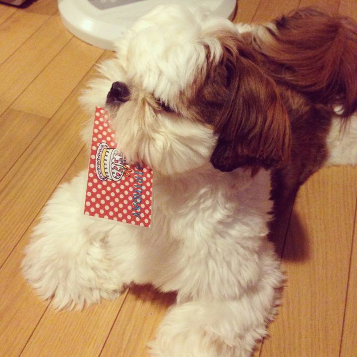 44e6cfc9 b7b3 414b a858 6c2873f6e46a