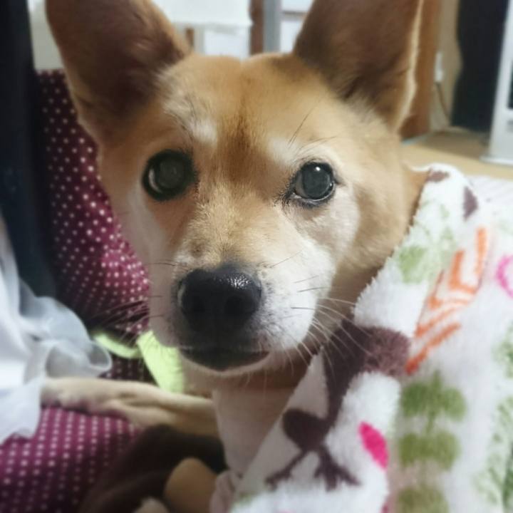 44e748d8 ee1c 462b b442 827fd8d8bb05