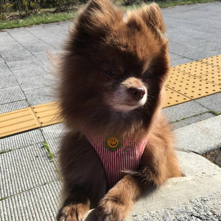 44e7944d 3b1d 46ff b9a1 d107d899771d