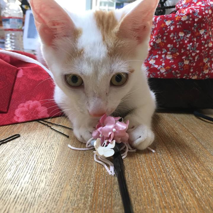 44e7a28f 32d0 412b 8bb4 b15c6b6b940e