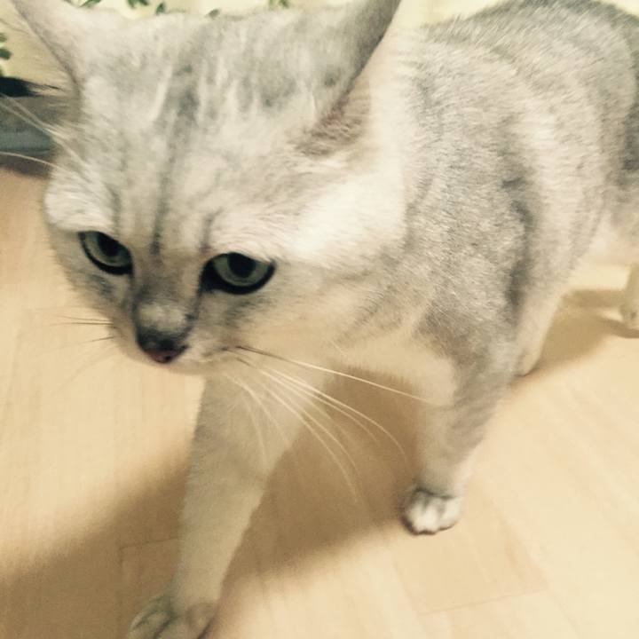 44e7b5ad 6cb8 4458 aa7a 21e53f5d0164