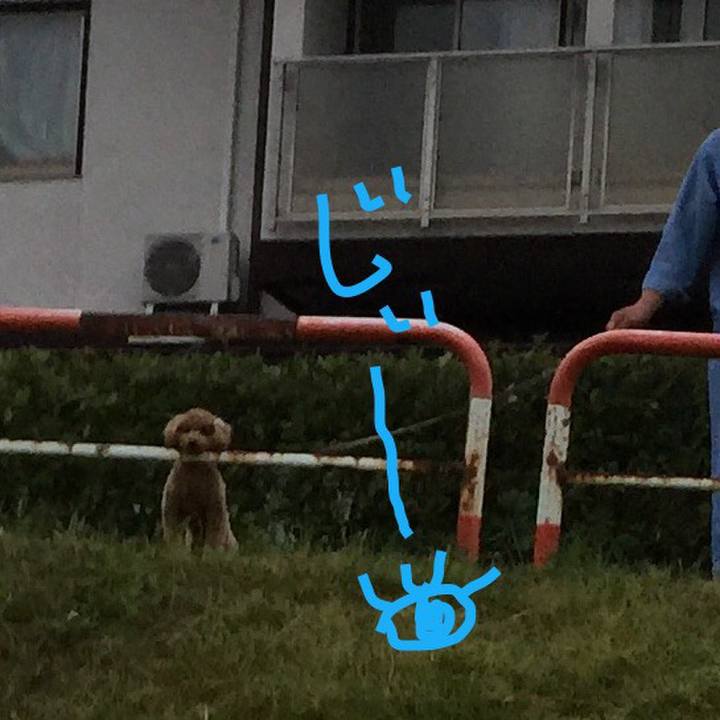 44e7c9c8 a0c9 4a02 8462 6ad19cdd0bb1