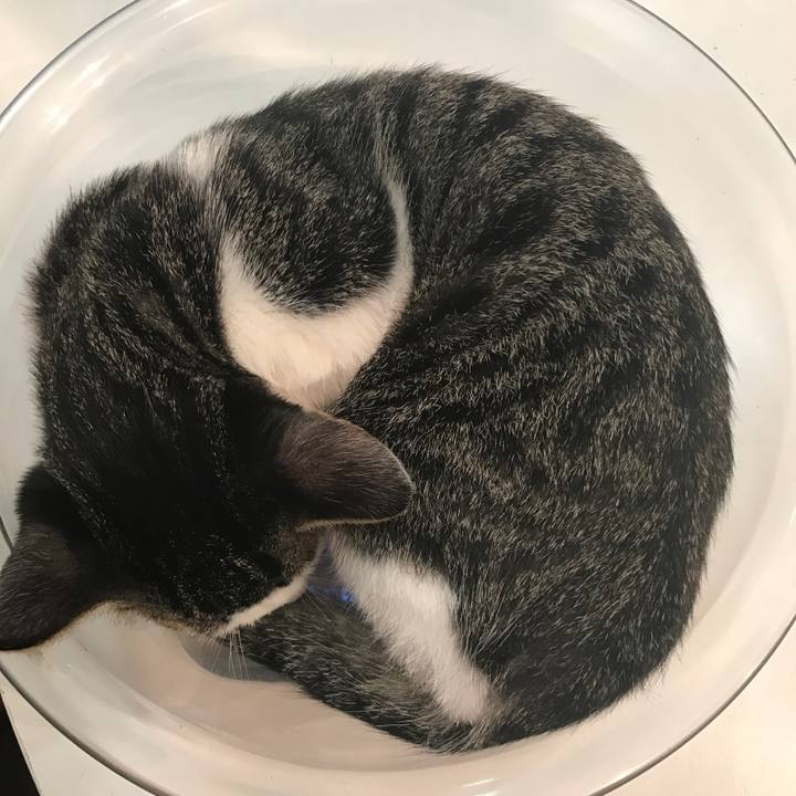 44e8270d 0bb2 492e bf34 d3261a33ec77