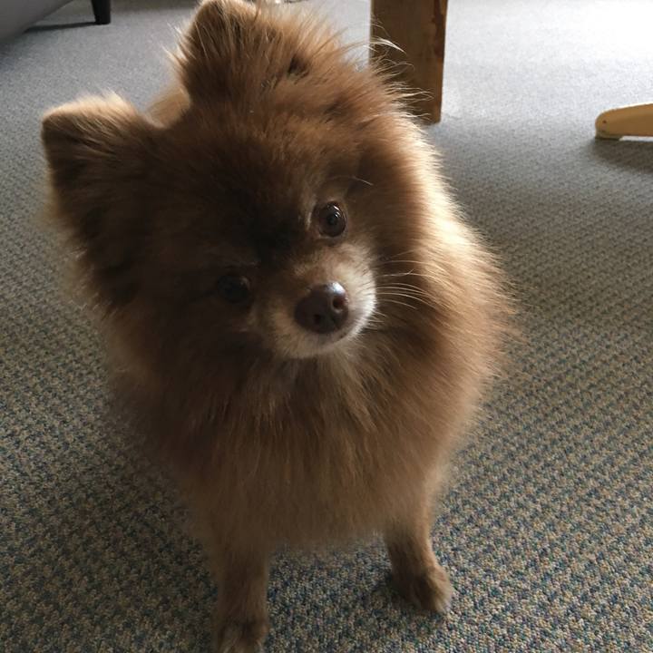 44e87312 0c65 46cc b1a2 ccaf96b33261