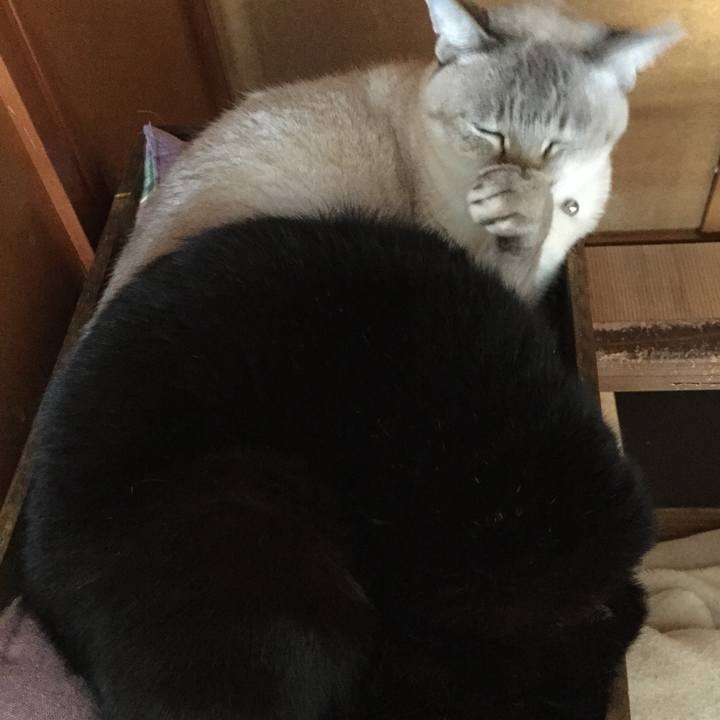 44e8962f 5baa 4b34 b9b0 c0ab702fd24b