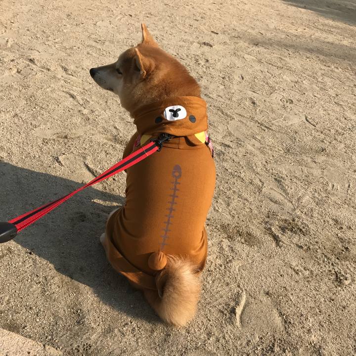 44e8a0b0 b323 43f6 b0c3 85b91e9f17a7