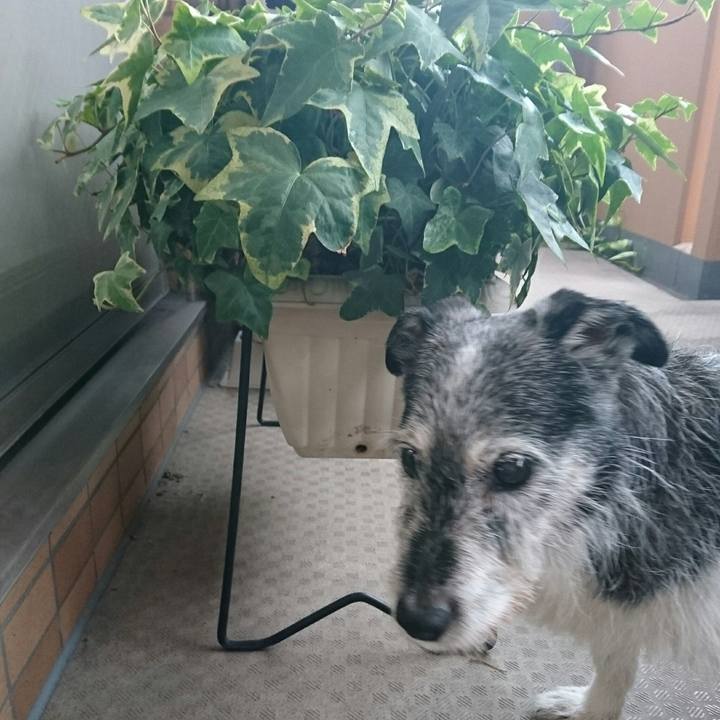 44e8d548 1b41 4465 a2e1 a883151a0eb5