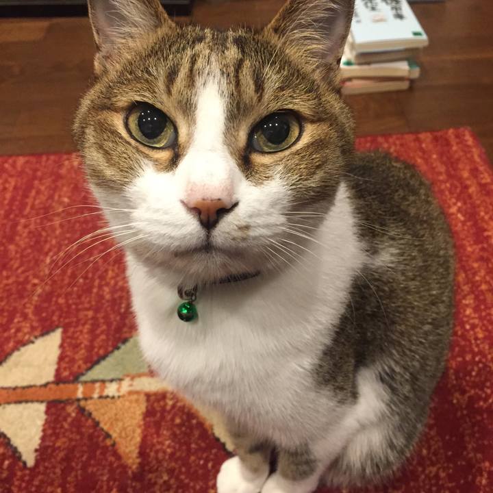 44e97461 fb4f 42a5 b9c3 0b1ccbc882b6