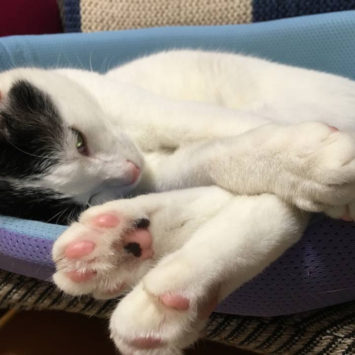 44e974ad 40a4 43e2 96b3 5d37ed716806