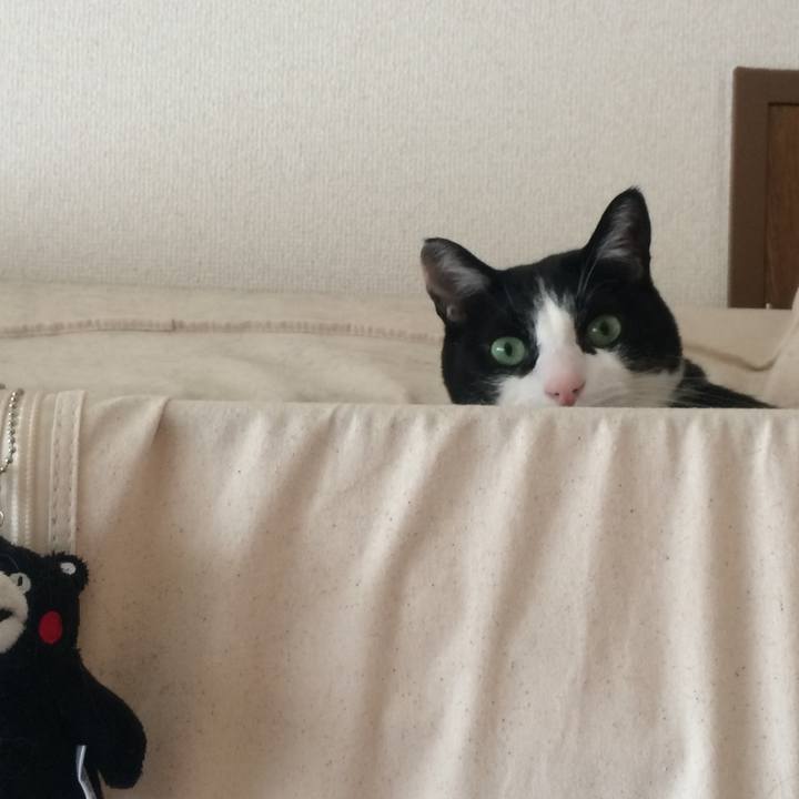 44e9d084 e956 4c44 80ad e01a53b14a83