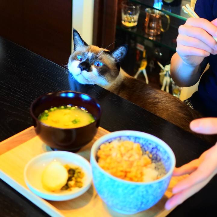 44ea4389 2777 4f2a 81d6 cfd2cb4abf06