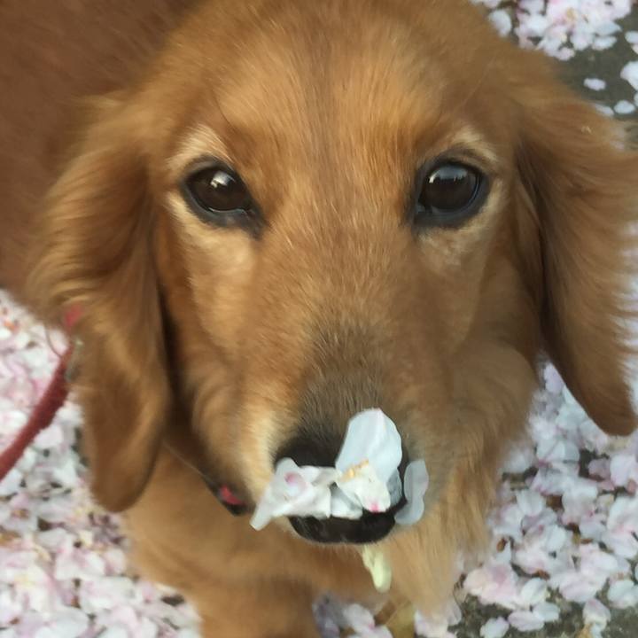 44ea62b5 6b46 4c8a b808 f7f3c38bd1cf