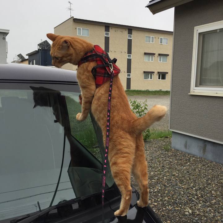 44ead0b8 411a 4afe a17c 6b9479ba240b