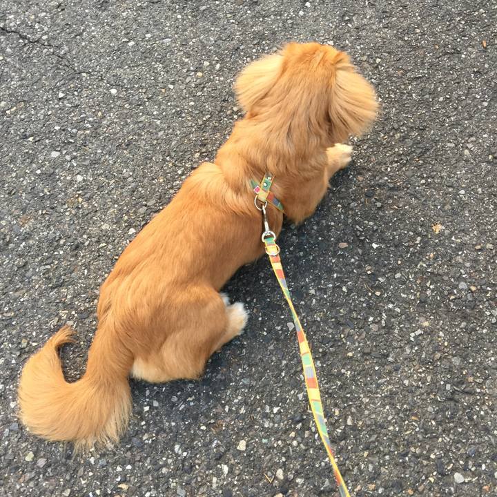 44eb5a9f 4ed0 4c99 944d d9b92062c748