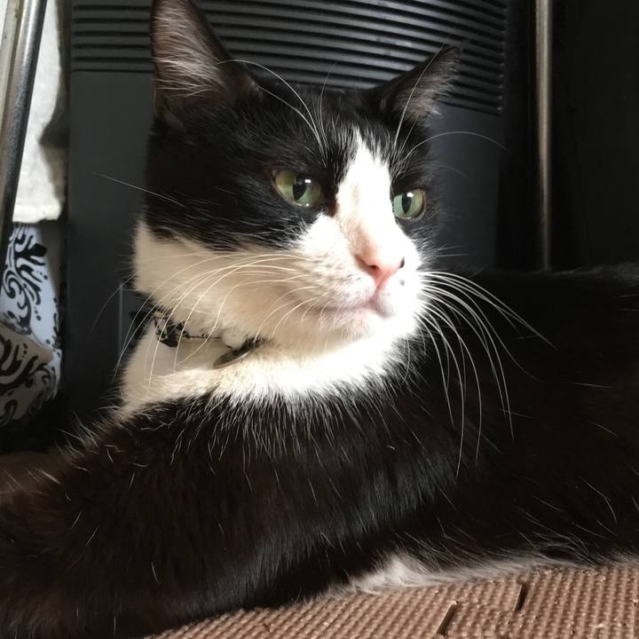 44eb6b09 b930 4cd3 8d66 1007a0e4cb63