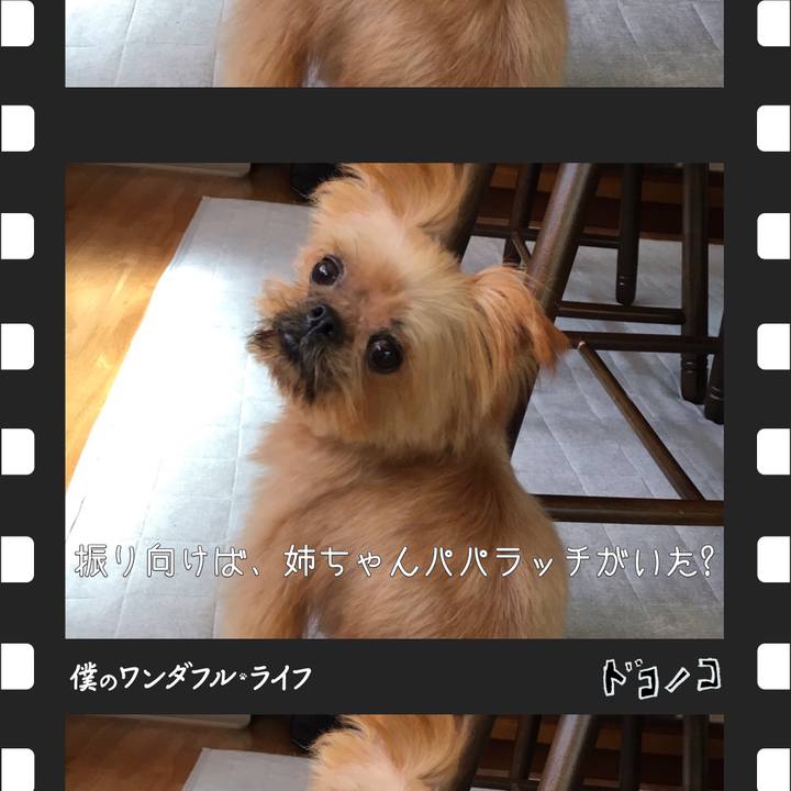 44ebc9ef 9746 417d b559 f557ddb85b2e