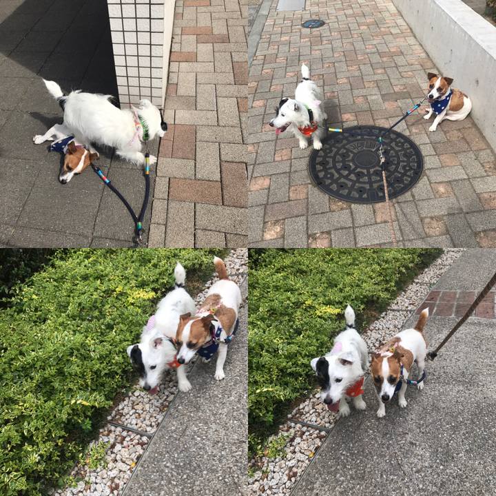 44ebe5a9 9470 4ca0 bdf3 fe6ebc694712