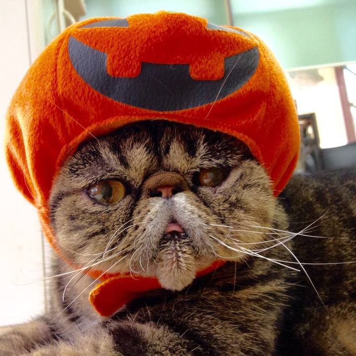 44ec129b 4ed7 4d55 831b 85b5909831a8