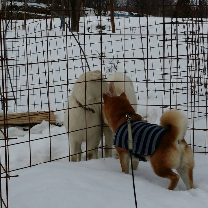 44ec45de afb8 4e4a bf82 1ed44040d974