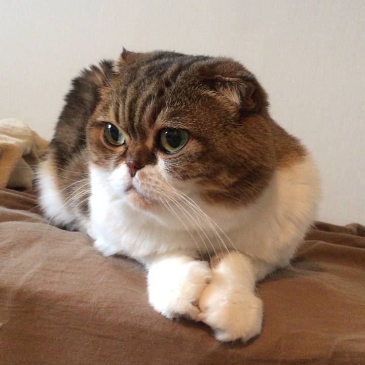 44ec8093 4a99 4eaa aac8 fefb32159b3b