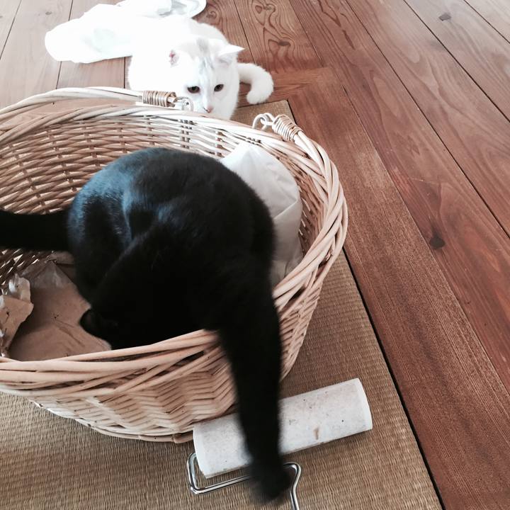 44ec8d91 fdde 4160 ac1c 22fa43b34113