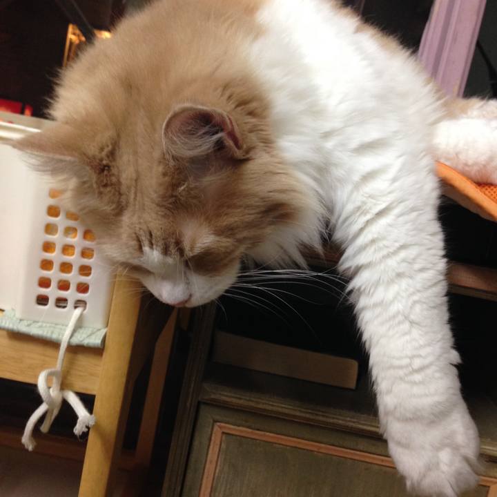 44ed1804 43bb 42d7 b8e6 d6d61749878d